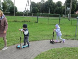 2025-09-26 Biedronki w Chojnie